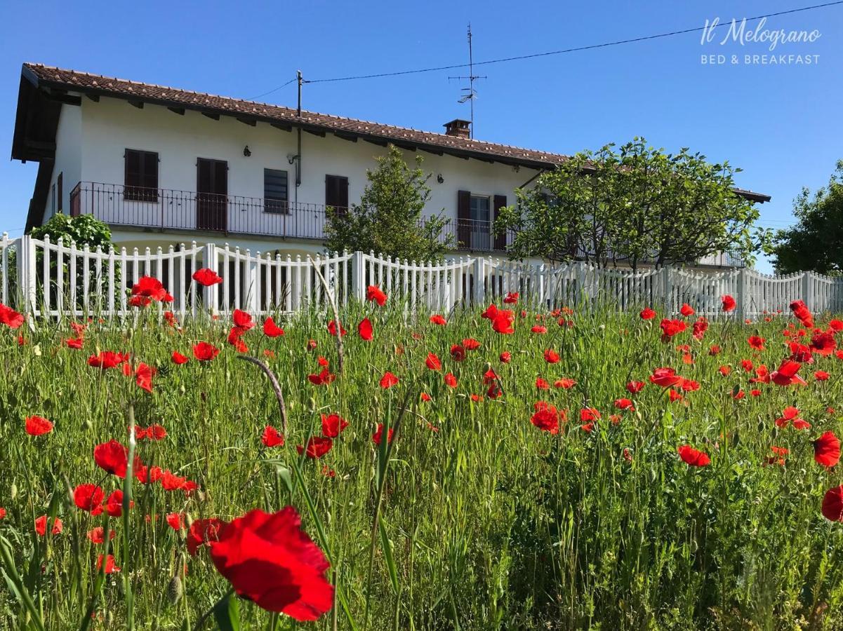 Gassino Torinese Il Melograno B&B المظهر الخارجي الصورة